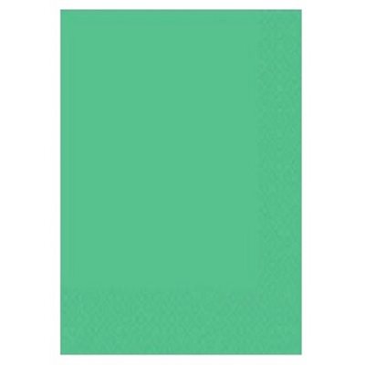 Feuilles mousse VERT PÂLE 9"X12" Feuilles mousse VERT PÂLE 9"X12"
