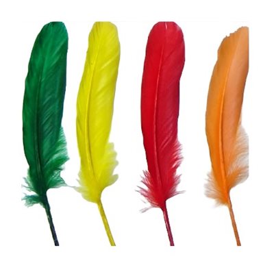 Plumes d'ENCRIER couleurs VIVES 29 / pqt Plumes d'ENCRIER couleurs VIVES 29 / pqt