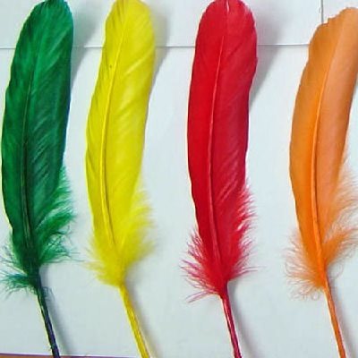 Plumes d'ENCRIER couleurs VIVES 29 / pqt Plumes d'ENCRIER couleurs VIVES 29 / pqt