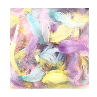 Plumes assorties couleurs PASTELS 8g / pqt Plumes assorties couleurs PASTELS 8g / pqt