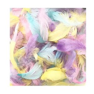 Plumes assorties couleurs PASTELS 8g / pqt