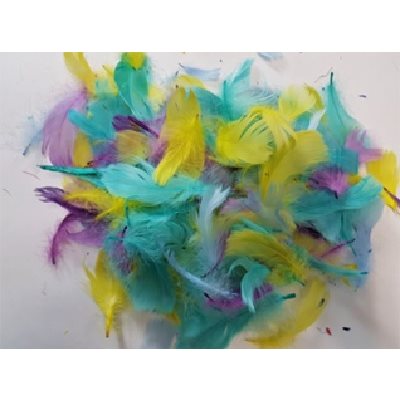 Plumes assorties couleurs PASTELS 8g / pqt