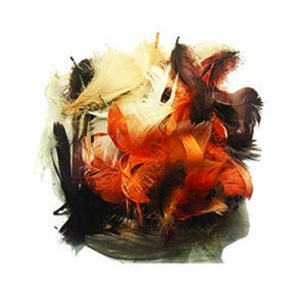 Plumes assorties AUTOMNE 8g / pqt