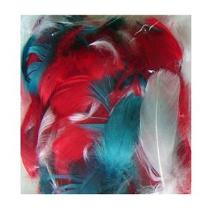 Plumes assorties couleurs NOEL 8g / pqt