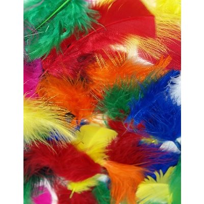 Plumes assorties MULTICOLRES 28g / pqt