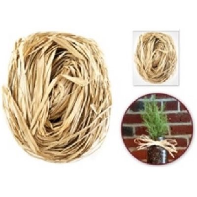 Raphia couleur naturel 40 g