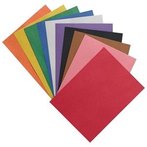 Carton Bristol 2-Plis Assorties 8-1 / 2'' X 11''