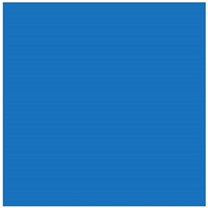 Carton Bristol 4-Plis BLEU FONCÉ 22X28"