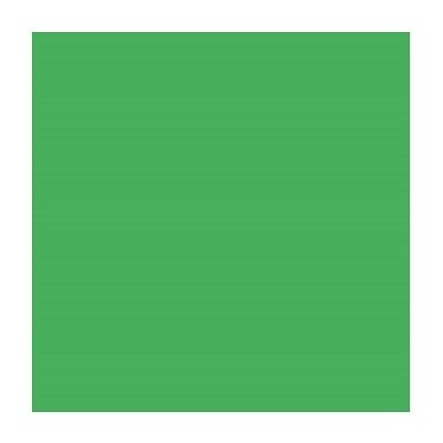 Carton Bristol 4-Plis VERT ÉMERAUDE 22X28" Carton Bristol 4-Plis VERT ÉMERAUDE 22X28"