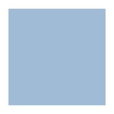 Carton Bristol 4-Plis BLEU PÂLE 22X28" Carton Bristol 4-Plis BLEU PÂLE 22X28"