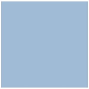 Carton Bristol 4-Plis BLEU PÂLE 22X28"