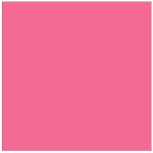 Carton Bristol 4-Plis MAGENTA 22X28"