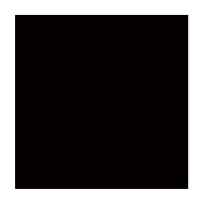 Carton Bristol 4-PLIS NOIR 22X28" Carton Bristol 4-PLIS NOIR 22X28"
