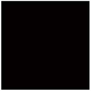 Carton Bristol 4-PLIS NOIR 22X28"
