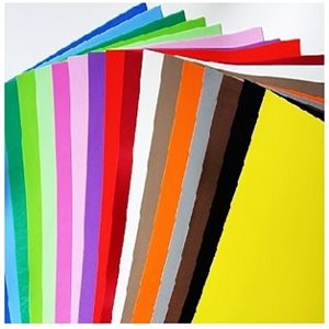 Carton Bristol 4-Plis ASSORTIES 22X28" (48 / Pqt)