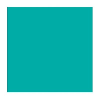 Papier de construction 9''x12'' - TURQUOISE Papier de construction 9''x12'' - TURQUOISE