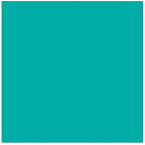 Papier de construction 12''x18'' - TURQUOISE