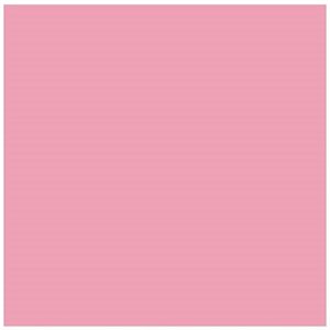 Papier de construction 12''x18'' - ROSE