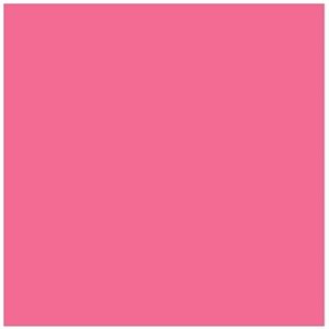 Papier de construction 12''x18'' - ROSE VIF