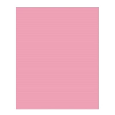 Carton Bristol 2-Plis ROSE 8-1 / 2'' X 11'' Carton Bristol 2-Plis ROSE 8-1 / 2'' X 11''