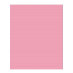 Carton Bristol 2-Plis ROSE 8-1 / 2'' X 11''