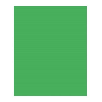 Carton Bristol 2-Plis VERT ÉMERAUDE 8-1 / 2'' X 11'' Carton Bristol 2-Plis VERT ÉMERAUDE 8-1 / 2'' X 11''