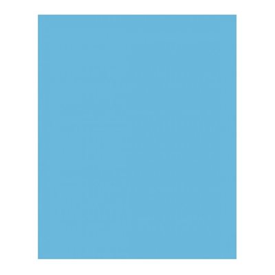 Carton Bristol 2-Plis BLEU PÂLE 8-1 / 2'' X 11'' Carton Bristol 2-Plis BLEU PÂLE 8-1 / 2'' X 11''
