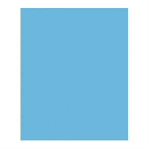 Carton Bristol 2-Plis BLEU PÂLE 8-1 / 2'' X 11''