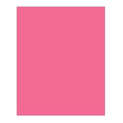 Carton Bristol 2-Plis MAGENTA 8-1 / 2'' X 11'' Carton Bristol 2-Plis MAGENTA 8-1 / 2'' X 11''