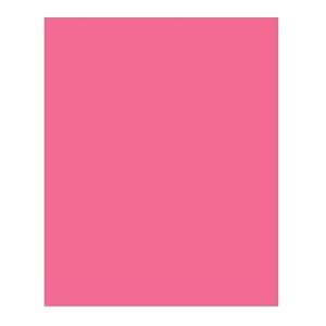 Carton Bristol 2-Plis MAGENTA 8-1 / 2'' X 11''