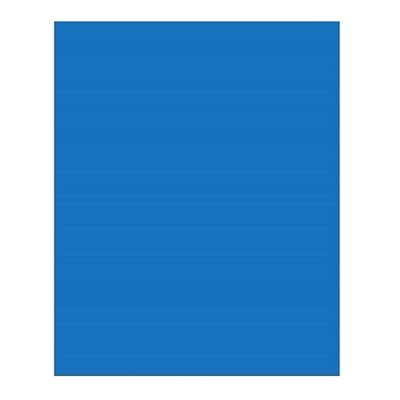 Carton Bristol 2-Plis BLEU FONCÉ 22" X 28" Carton Bristol 2-Plis BLEU FONCÉ 22" X 28"