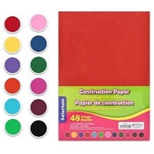 Carton Rigide Assorties 9"X12" 48 / pqt