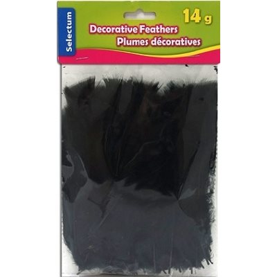 Plumes décoratives NOIRE 14 Grammes Plumes décoratives NOIRE 14 Grammes