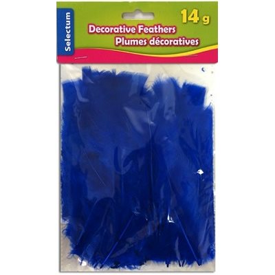Plumes décoratives BLEU TURQUOISE 14 Grammes Plumes décoratives BLEU TURQUOISE 14 Grammes