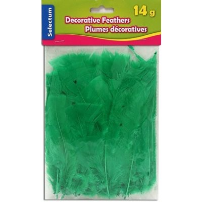 Plumes décoratives VERTE14 Grammes Plumes décoratives VERTE14 Grammes