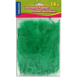 Plumes décoratives VERTE 14 / pqt