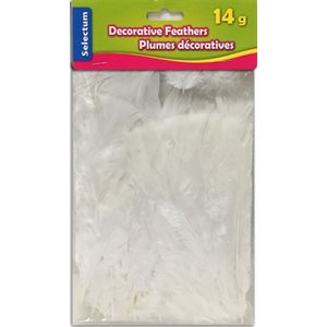Plumes décoratives BLANCHE 14g / pqt